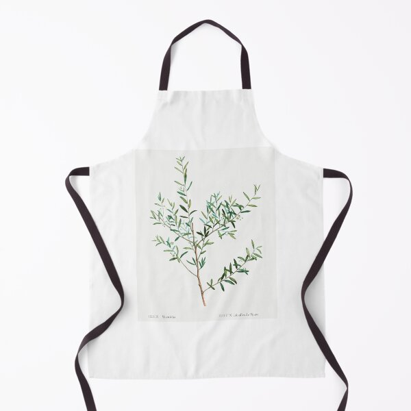 Item preview, Myrtle Leaf Holly Botanical Illustration designed and sold by TheRetroArtRoom.