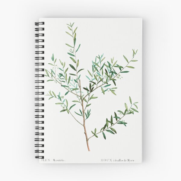 Item preview, Myrtle Leaf Holly Botanical Illustration designed and sold by TheRetroArtRoom.