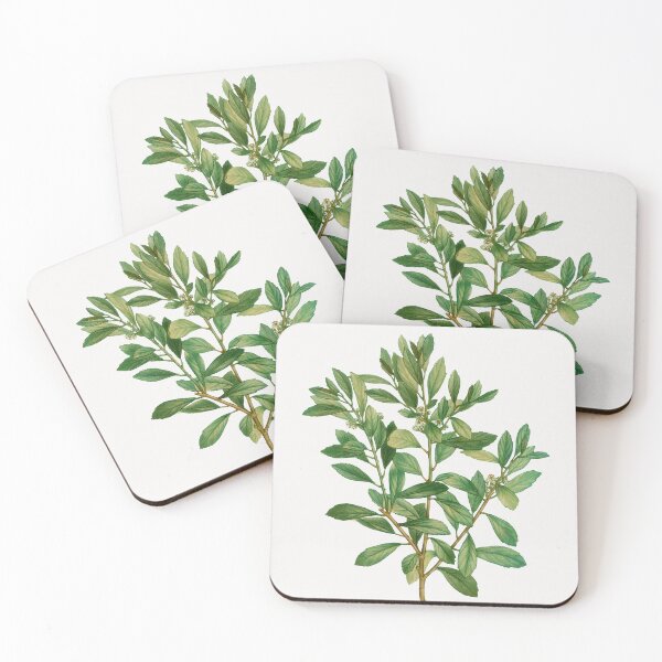 Item preview, Inkberry Botanical Illustration designed and sold by TheRetroArtRoom.
