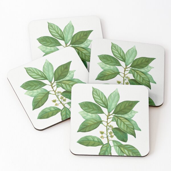 Item preview, Red Bay Botanical Illustration designed and sold by TheRetroArtRoom.