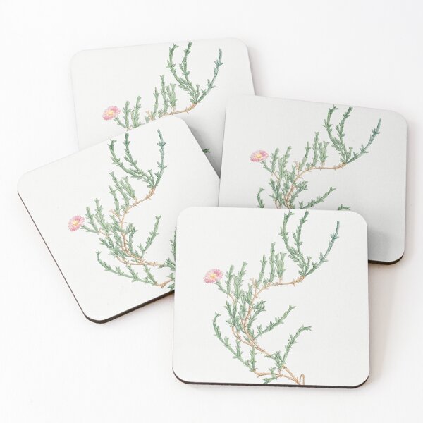 Item preview, Mesembryanthemum Botanical Illustration designed and sold by TheRetroArtRoom.