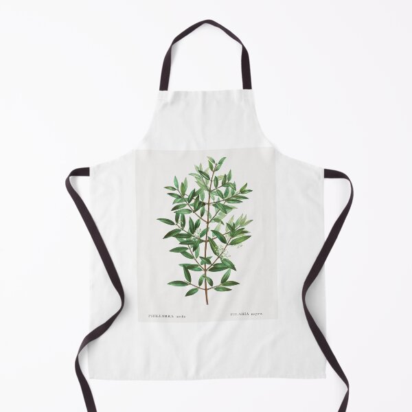 Item preview, Phillyrea Botanical Illustration designed and sold by TheRetroArtRoom.