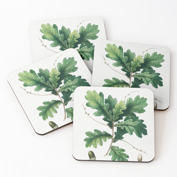 Item preview, English Oak Botanical Illustration designed and sold by TheRetroArtRoom.
