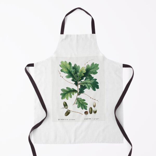 Item preview, English Oak Botanical Illustration designed and sold by TheRetroArtRoom.