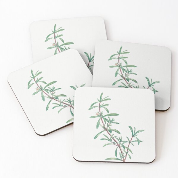 Item preview, Sea Purslane Botanical Illustration designed and sold by TheRetroArtRoom.
