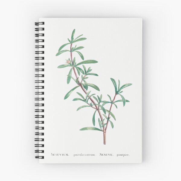 Item preview, Sea Purslane Botanical Illustration designed and sold by TheRetroArtRoom.