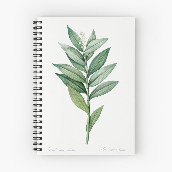 Item preview, Star Flowered Lily-of-the-Valley Botanical Illustration designed and sold by TheRetroArtRoom.