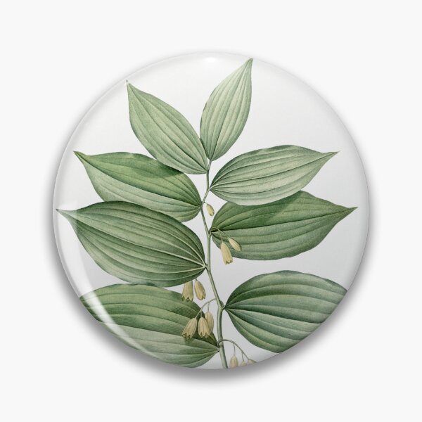 Item preview, Solomon's Seal Botanical Illustration designed and sold by TheRetroArtRoom.