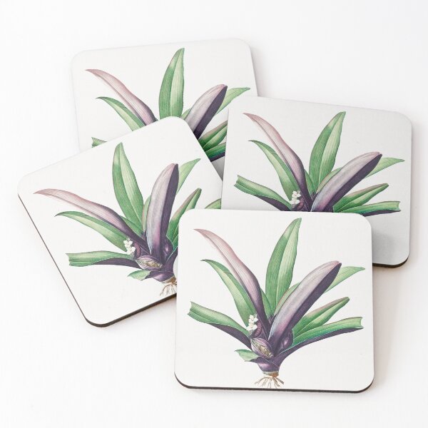 Item preview, Moses in the Cradle Botanical Illustration designed and sold by TheRetroArtRoom.