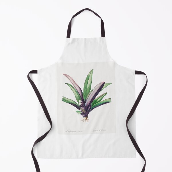 Item preview, Moses in the Cradle Botanical Illustration designed and sold by TheRetroArtRoom.