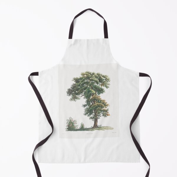 Item preview, Oak Tree Botanical Illustration designed and sold by TheRetroArtRoom.