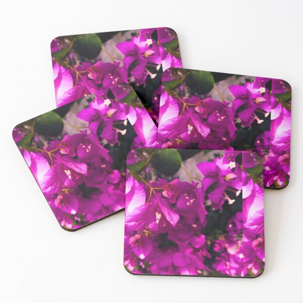 Item preview, Shine of flowers designed and sold by Pie arora .
