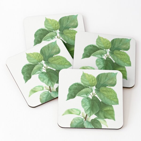 Item preview, White Mulberry Botanical Illustration designed and sold by TheRetroArtRoom.