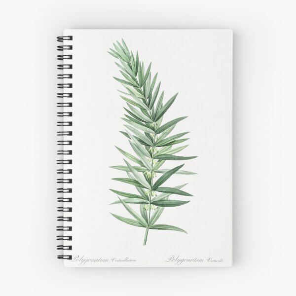 Item preview, Whorled Solomon's Seal Botanical Illustration designed and sold by TheRetroArtRoom.