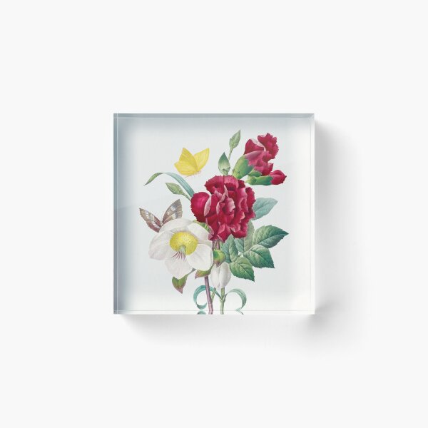 Item preview, Hellebore and Carnation Flowers Botanical Illustration designed and sold by TheRetroArtRoom.