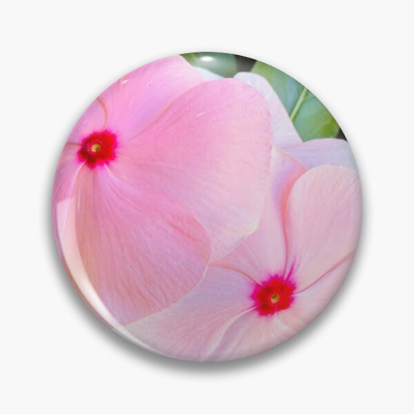 Item preview, Soft Pink Periwinkle Flowers Garden Photography designed and sold by BalkanBloomArt.