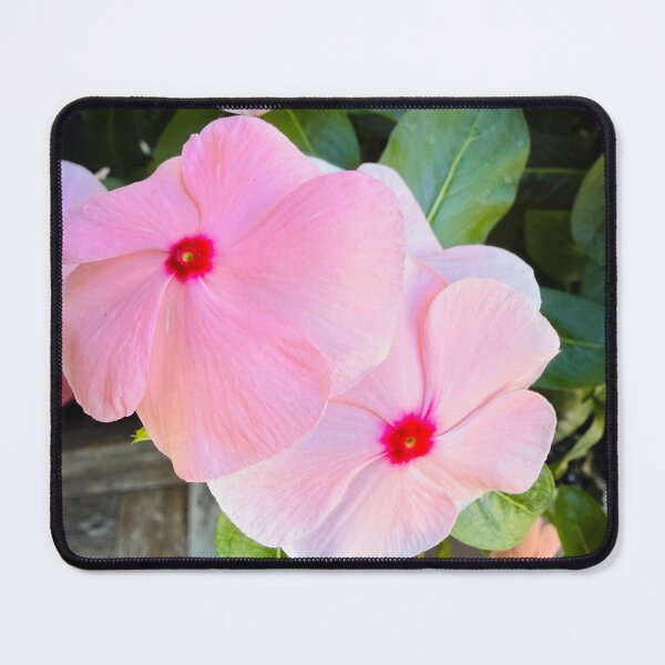 Item preview, Soft Pink Periwinkle Flowers Garden Photography designed and sold by BalkanBloomArt.