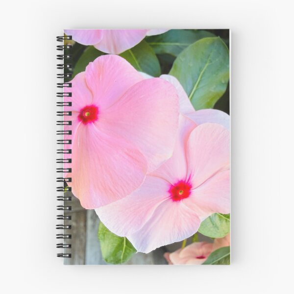 Item preview, Soft Pink Periwinkle Flowers Garden Photography designed and sold by BalkanBloomArt.