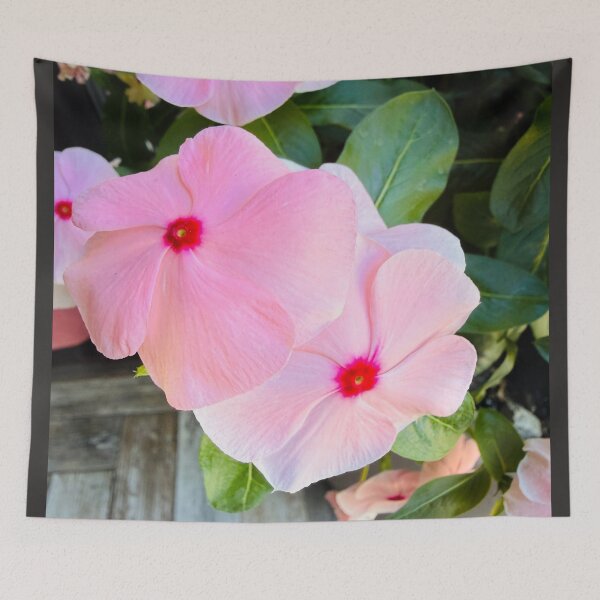 Item preview, Soft Pink Periwinkle Flowers Garden Photography designed and sold by BalkanBloom.