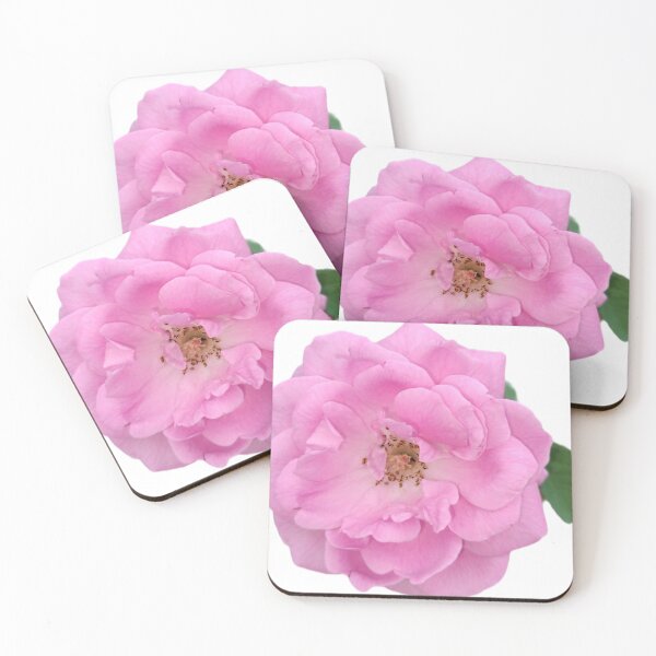 Item preview, Pink Rose in Full Bloom designed and sold by Ezrabilquis7.