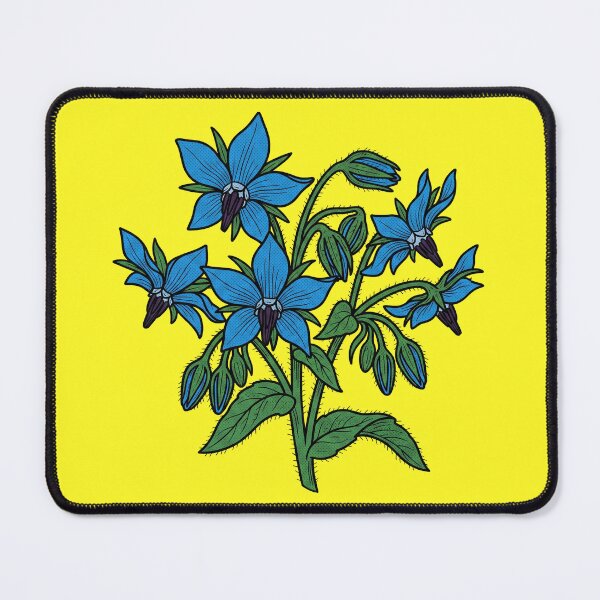 Item preview, The Euphrosinum Deception: Borago officinalis Botanical Print designed and sold by FreiherrPK.