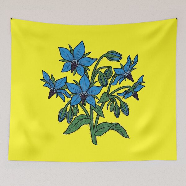 Item preview, The Euphrosinum Deception: Borago officinalis Botanical Print designed and sold by FreiherrPK.