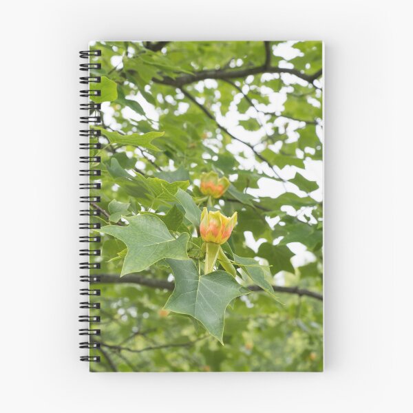 Item preview, Distinct Yellow Orange Tulip Tree Blooms in Lush Green Canopy designed and sold by Georgia Mizuleva.