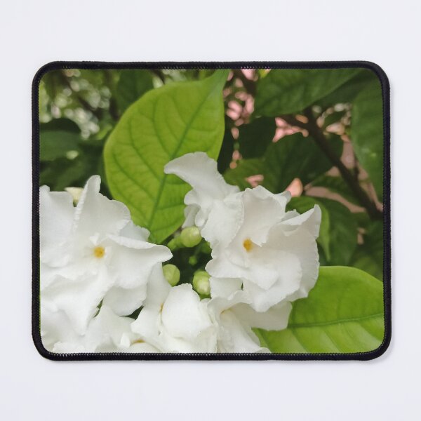 Item preview, White is whitening designed and sold by Pie arora .