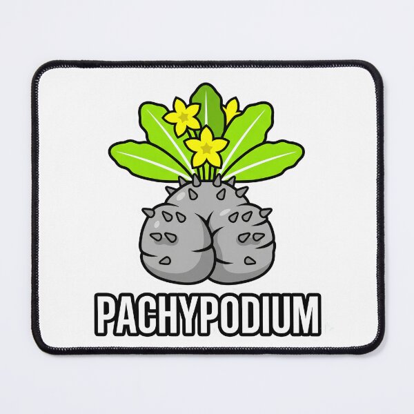 Item preview, Streetwear Pachypodium Brevicaule Caudex Graphic designed and sold by GreenDivisionJP.