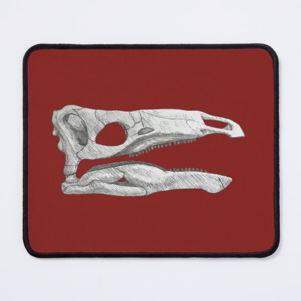 Item preview, miragaia longicollum skull designed and sold by DoodleSnake58.