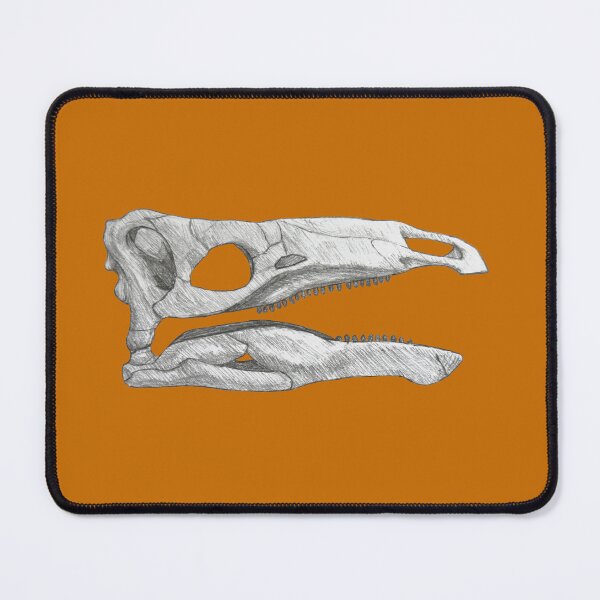 Item preview, Miragaia longicollum skull designed and sold by DoodleSnake58.