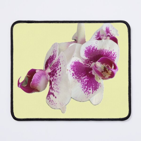 Item preview, Speckled pink white orchids designed and sold by Prirodariti.