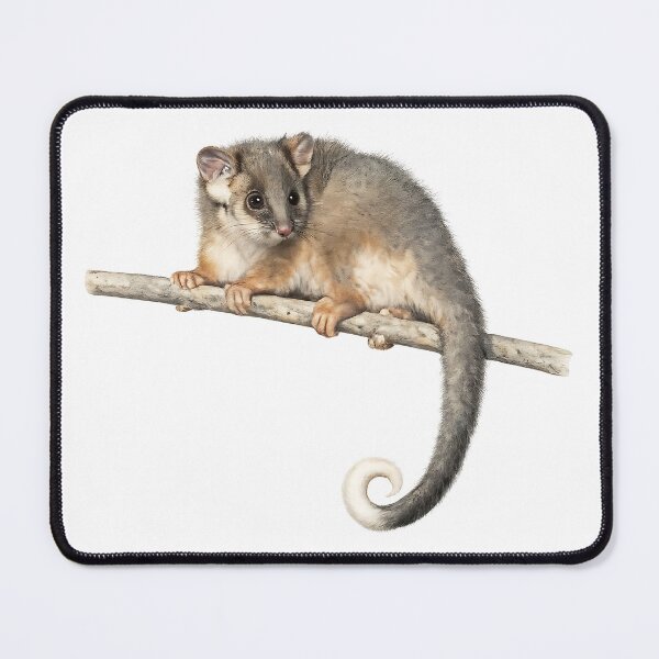 Item preview, Common Ringtail Possum — Watercolour Painting designed and sold by Jaruart.