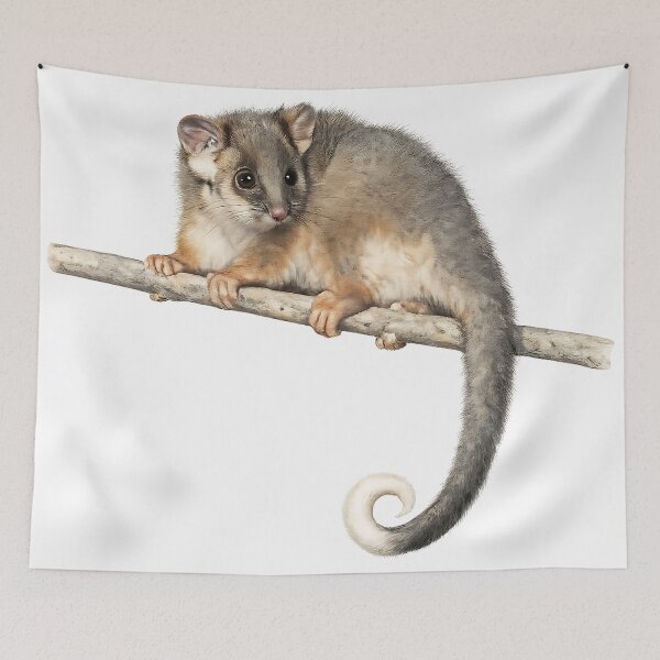 Item preview, Common Ringtail Possum — Watercolour Painting designed and sold by Jaruart.