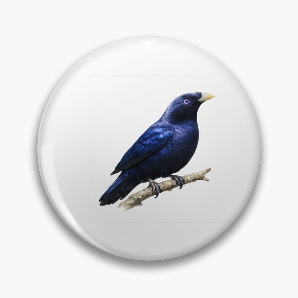 Item preview, Satin Bowerbird — Watercolour Illustration designed and sold by Jaruart.