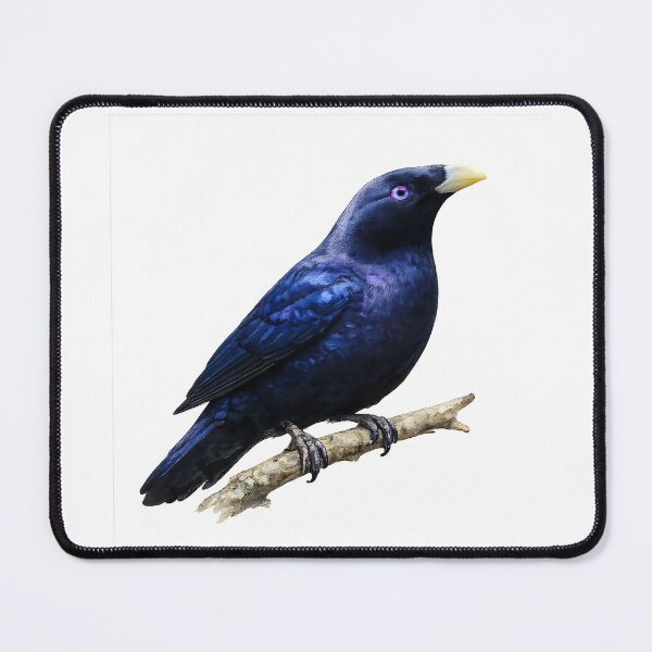 Item preview, Satin Bowerbird — Watercolour Illustration designed and sold by Jaruart.