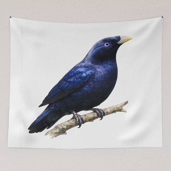 Item preview, Satin Bowerbird — Watercolour Illustration designed and sold by Jaruart.