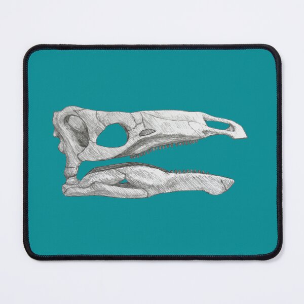 Item preview, Miragaia Longicollum skull designed and sold by DoodleSnake58.