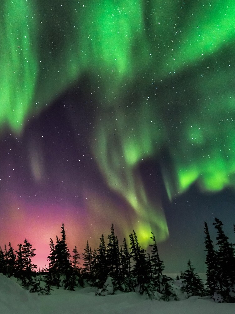 Aurora by hussinb