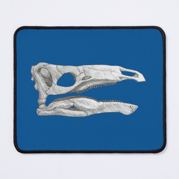 Item preview, Miragaia Longicollum skull designed and sold by DoodleSnake58.
