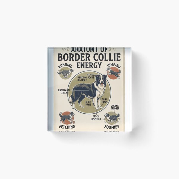 Item preview, Anatomy of Border Collie Energy Vintage Retro Dog Lover Design designed and sold by urbinet.