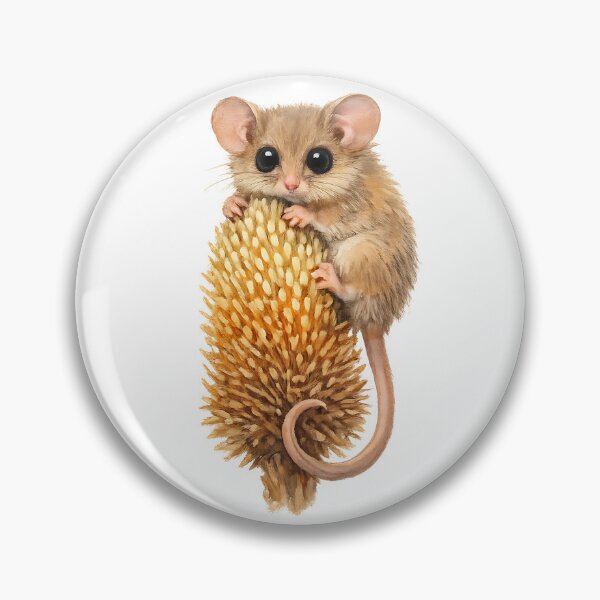 Aperçu de l'œuvre Eastern Pygmy Possum on Banksia — Watercolour créée et vendue par Jaruart.