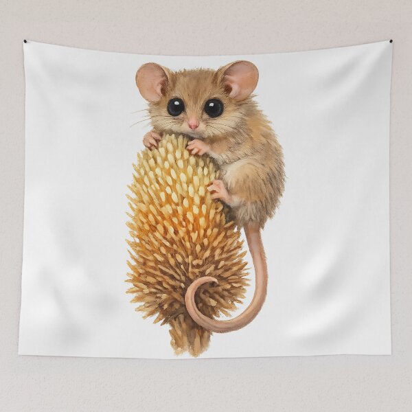 Item preview, Eastern Pygmy Possum on Banksia — Watercolour designed and sold by Jaruart.