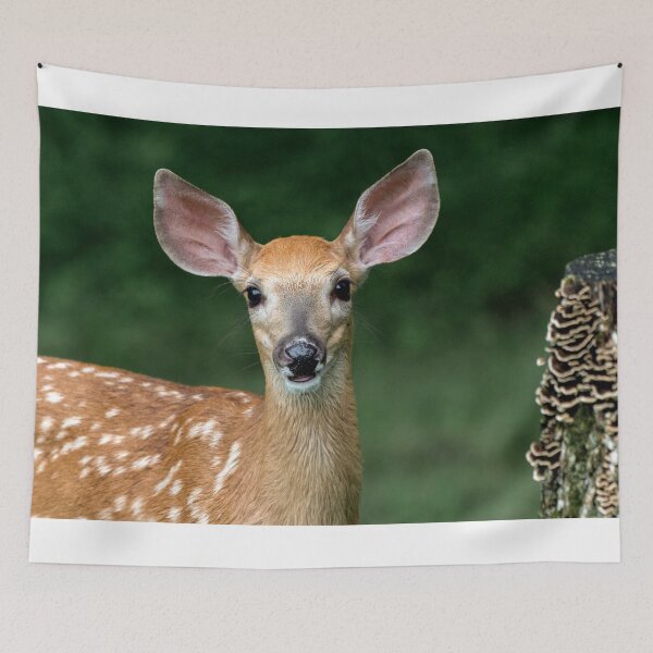 Item preview, I am all ears !! designed and sold by Rinoxxx.