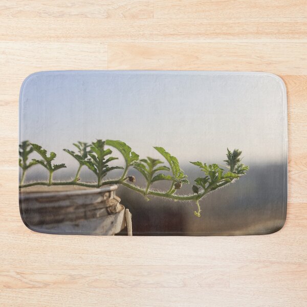 Item preview, Watermelon blooms in the pot designed and sold by diaaphotography.