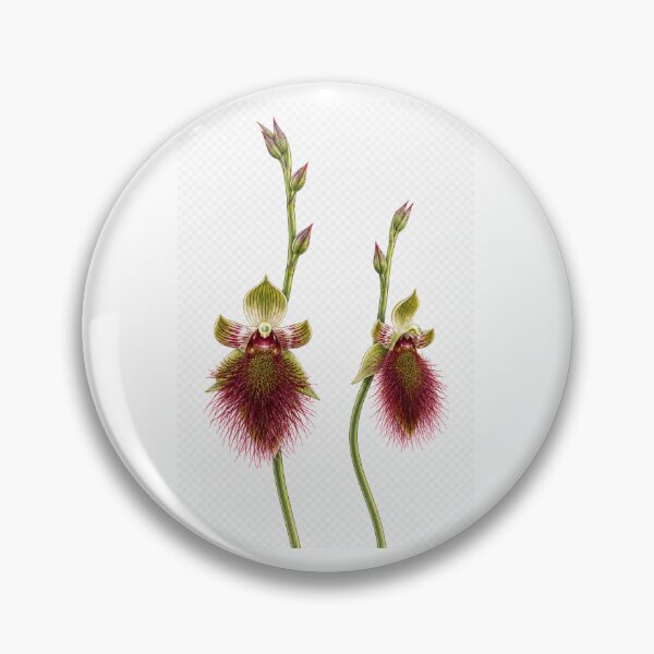 Item preview, Bearded Orchid designed and sold by BlueBandedBee94.