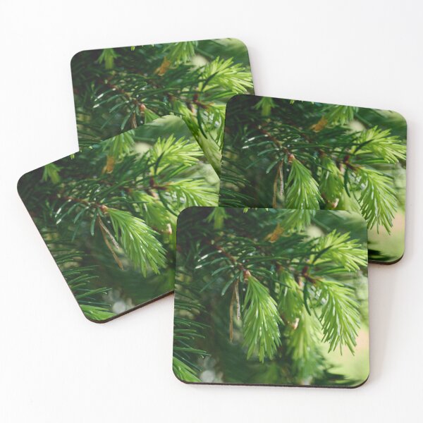 Item preview, New grow. Norway Spruce designed and sold by Jouko Lehto Photography.