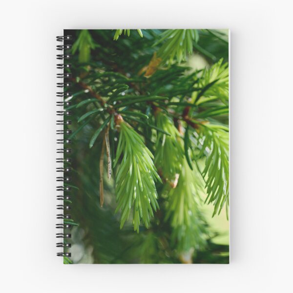 Item preview, New grow. Norway Spruce designed and sold by Jouko Lehto Photography.