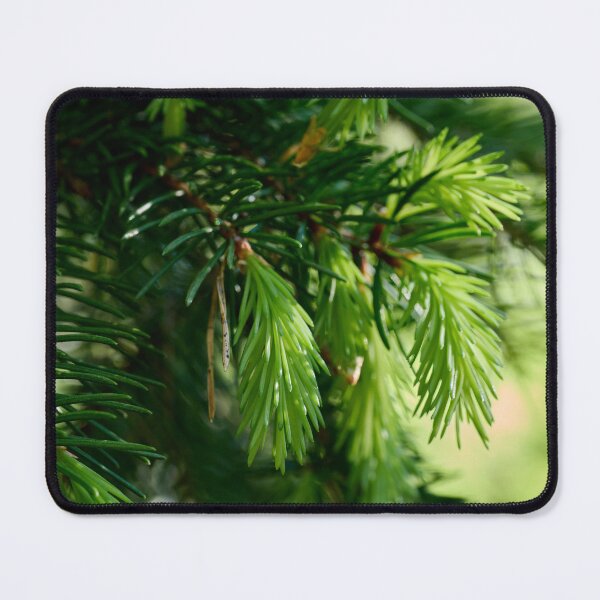 Item preview, New grow. Norway Spruce designed and sold by Jouko Lehto Photography.