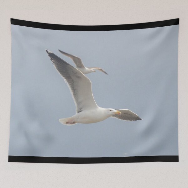 Item preview, Picture of a gull in Brittany designed and sold by Elle Willers.